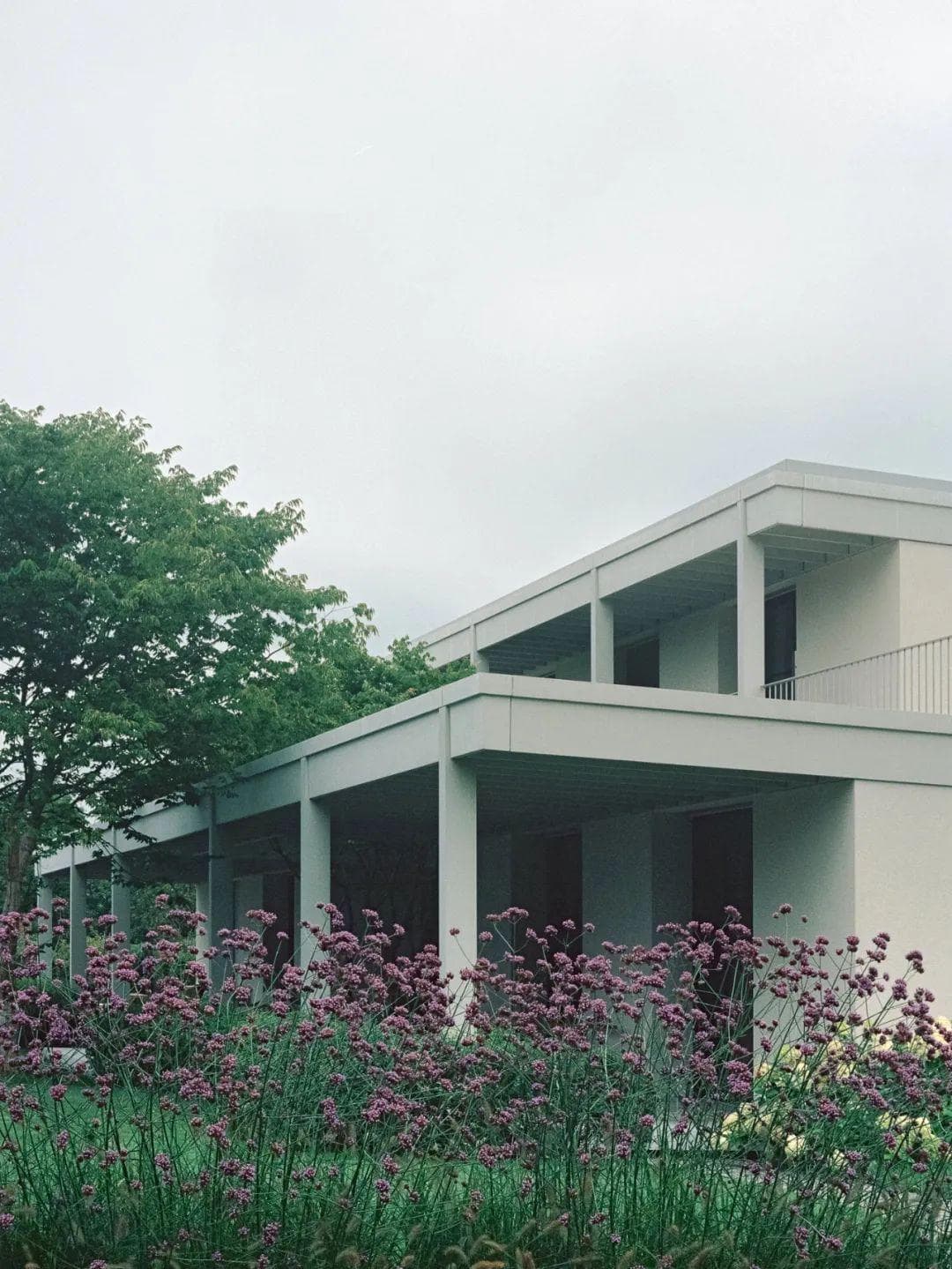 新古典主义与现代诗意的结合——解析Think Architecture设计的住宅