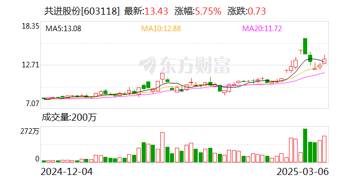 共进股份财务乱象背后 内控短板如何破局？