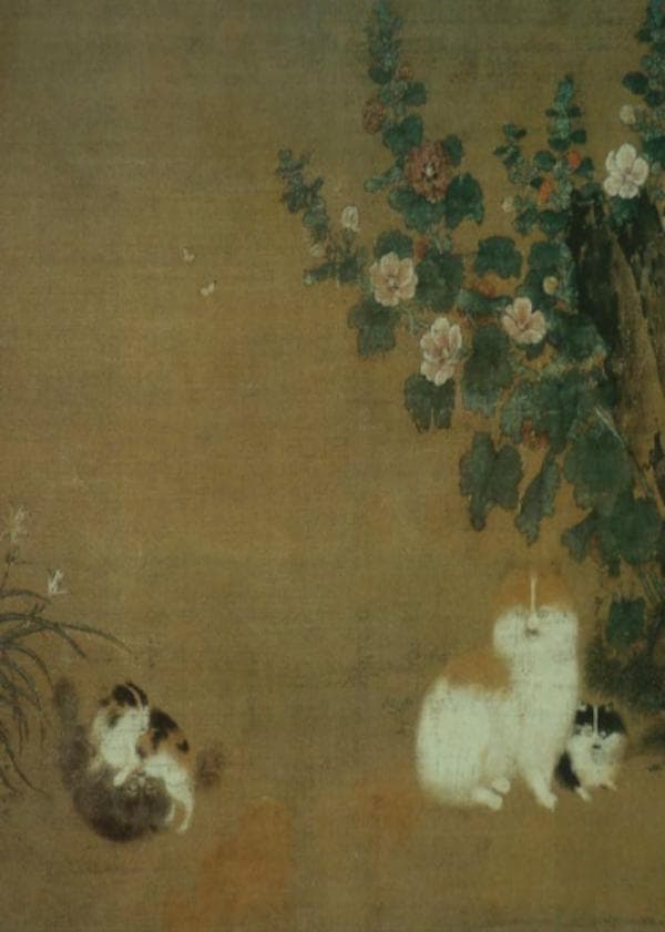 宋代猫奴手册①︱衔蝉毛色白胜酥——品种、角色、猫市