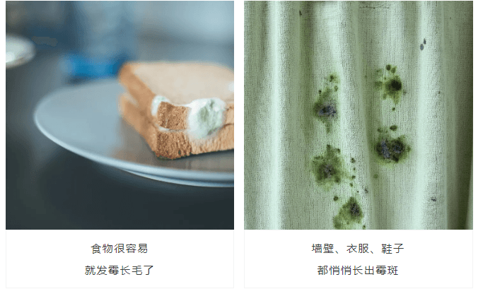 北方人不懂的回南天之痛！超实用的除霉、防霉方法，建议收藏