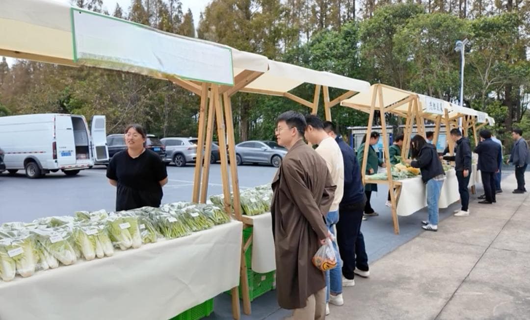 “蔬菜链”上办市集，竖新镇这样推广本地农产品