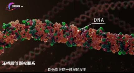 癌症风险自测：你是否有这四个癌症体质特征？