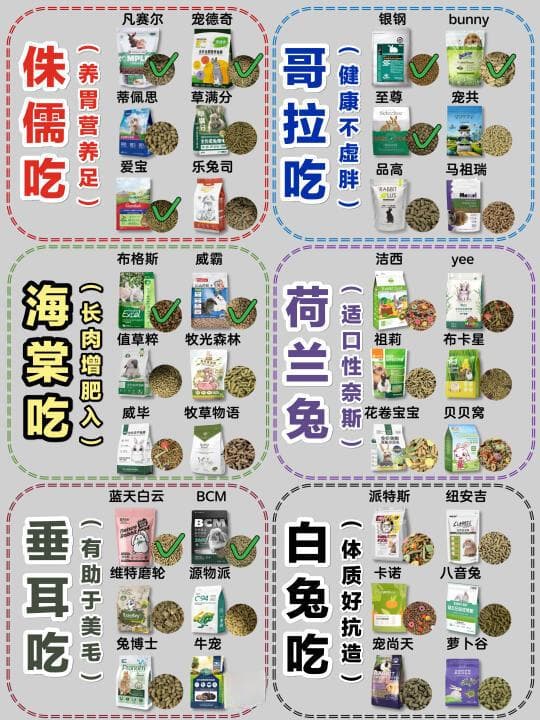 兔粮推荐精华：让兔兔爱上吃饭的秘诀