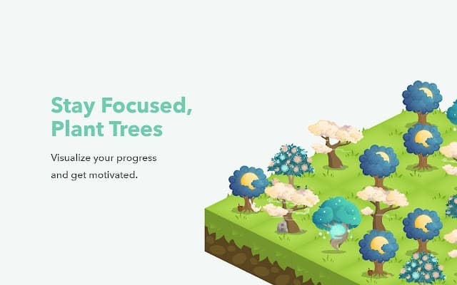 应用出海案例：Forest专注森林app有何特点？又是如何进行收款的？