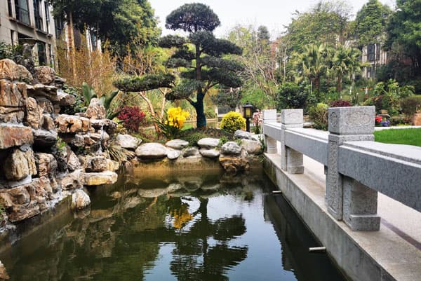 景观鱼池中的养鱼废水能不能用来浇花?