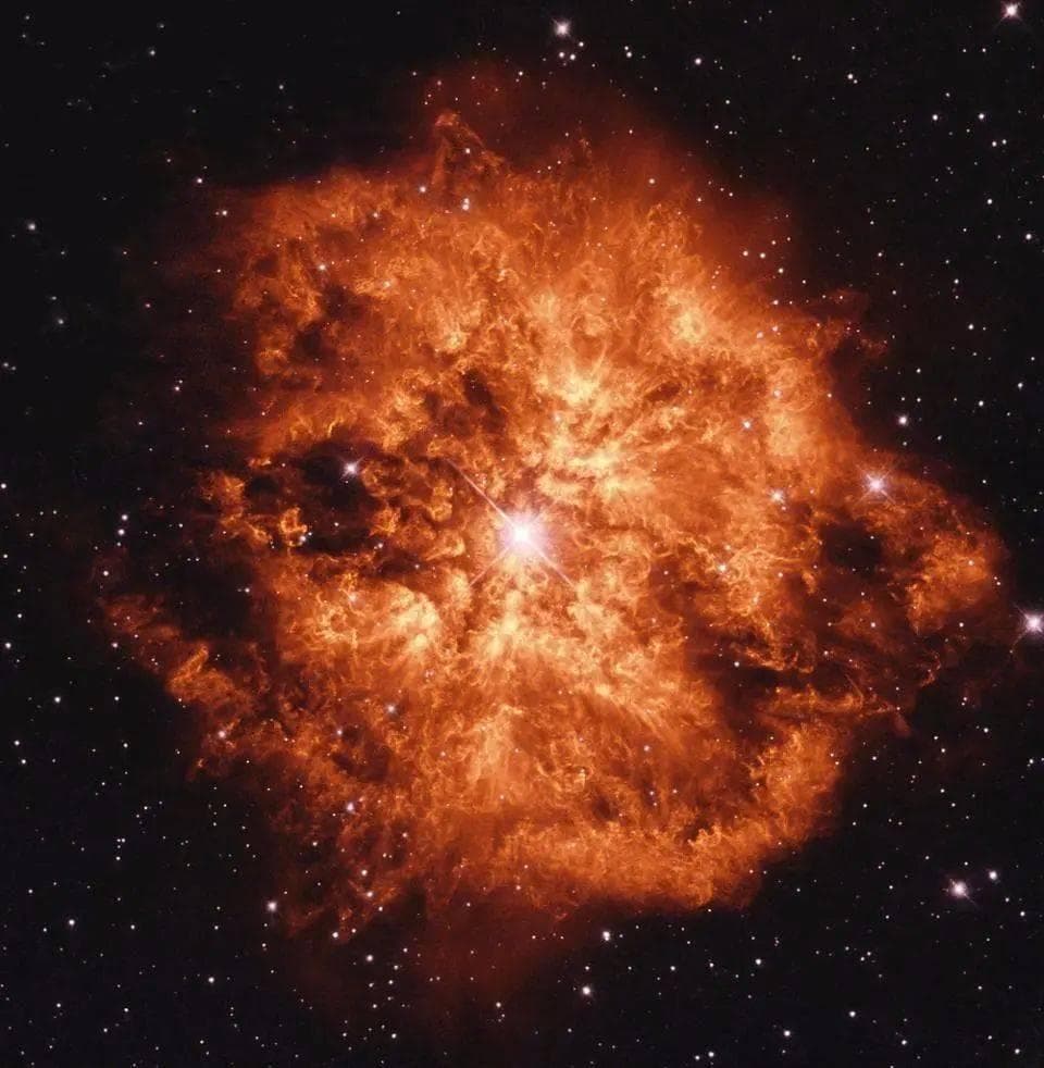 恒星也会动！8世纪中国天文学家首发现恒星位移