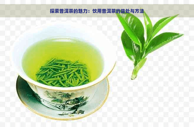 探索普洱茶的魅力：饮用普洱茶的益处与方法