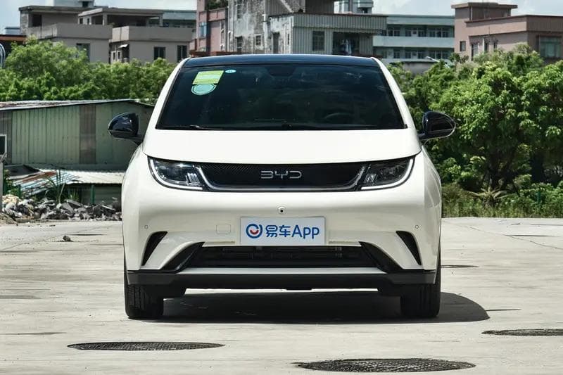 海豚的叫声特点