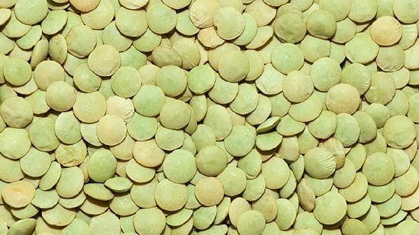 扁豆没炒熟有毒吗