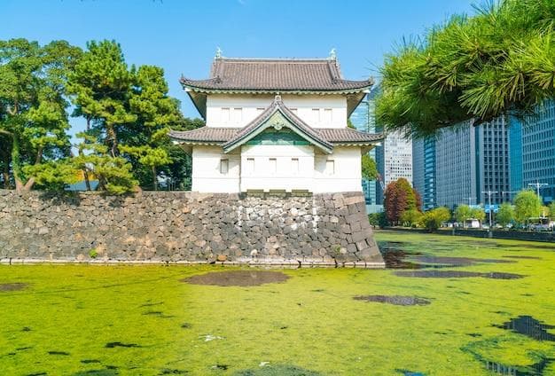2018年日本移民政策：并非完全过时的历史政策