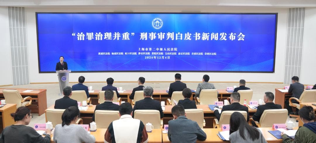 共同营造安全有序交通环境，《交通肇事犯罪案件审判白皮书》发布！
