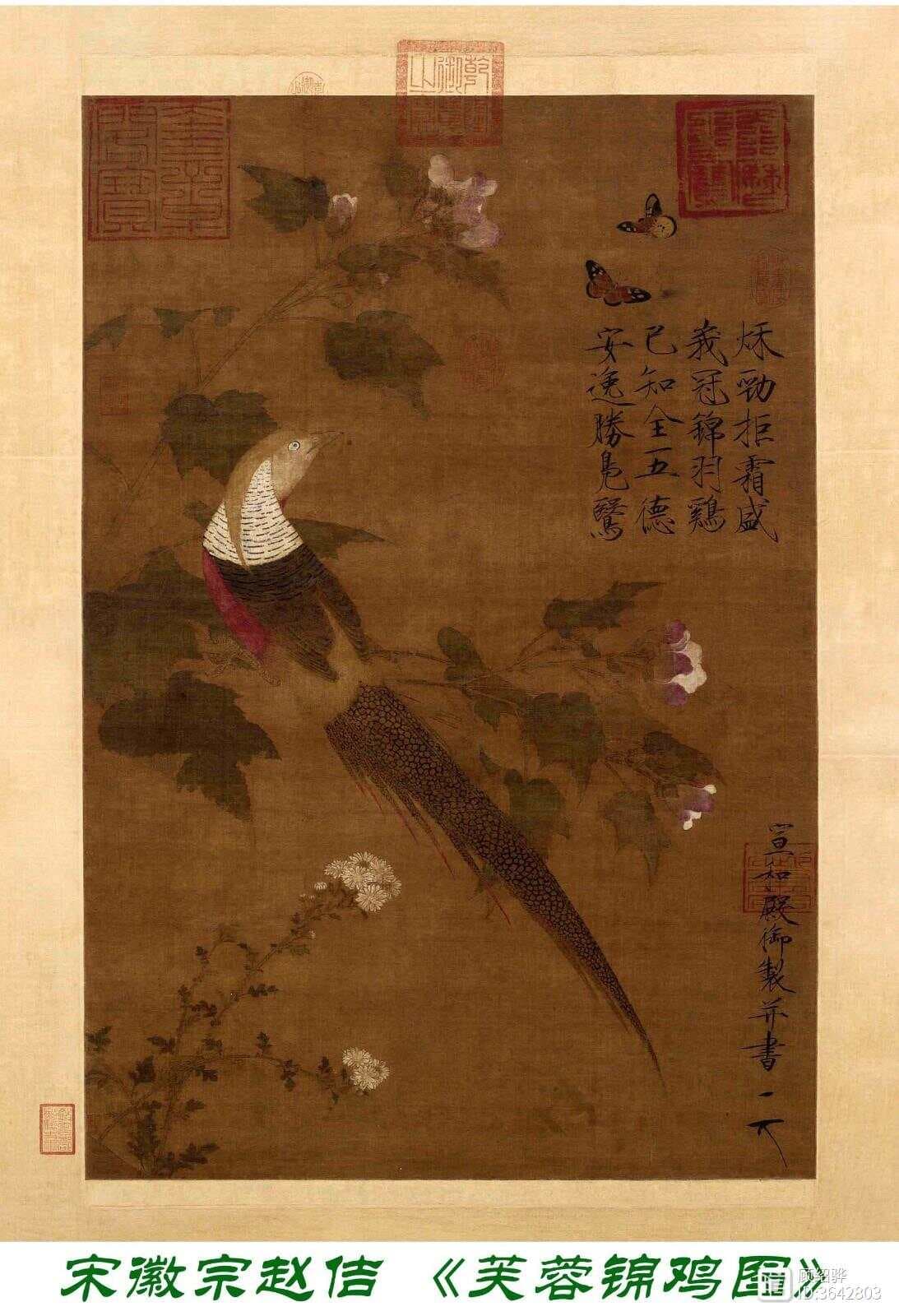 《芙蓉锦鸡图》：中国画的审美与评价标准