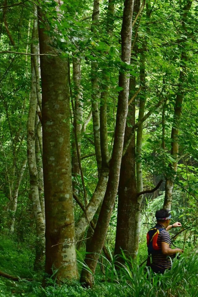 湖南山地，真正的狠角竟然不是眼镜蛇!