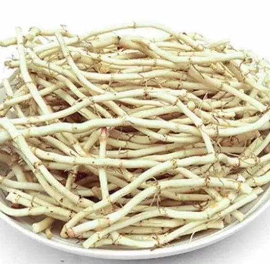 药食两用——鱼腥草