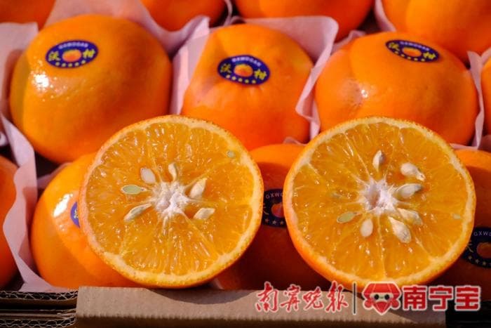 手机变“新农具”，直播变“新农活”：广西农村电商直播助力乡村振兴