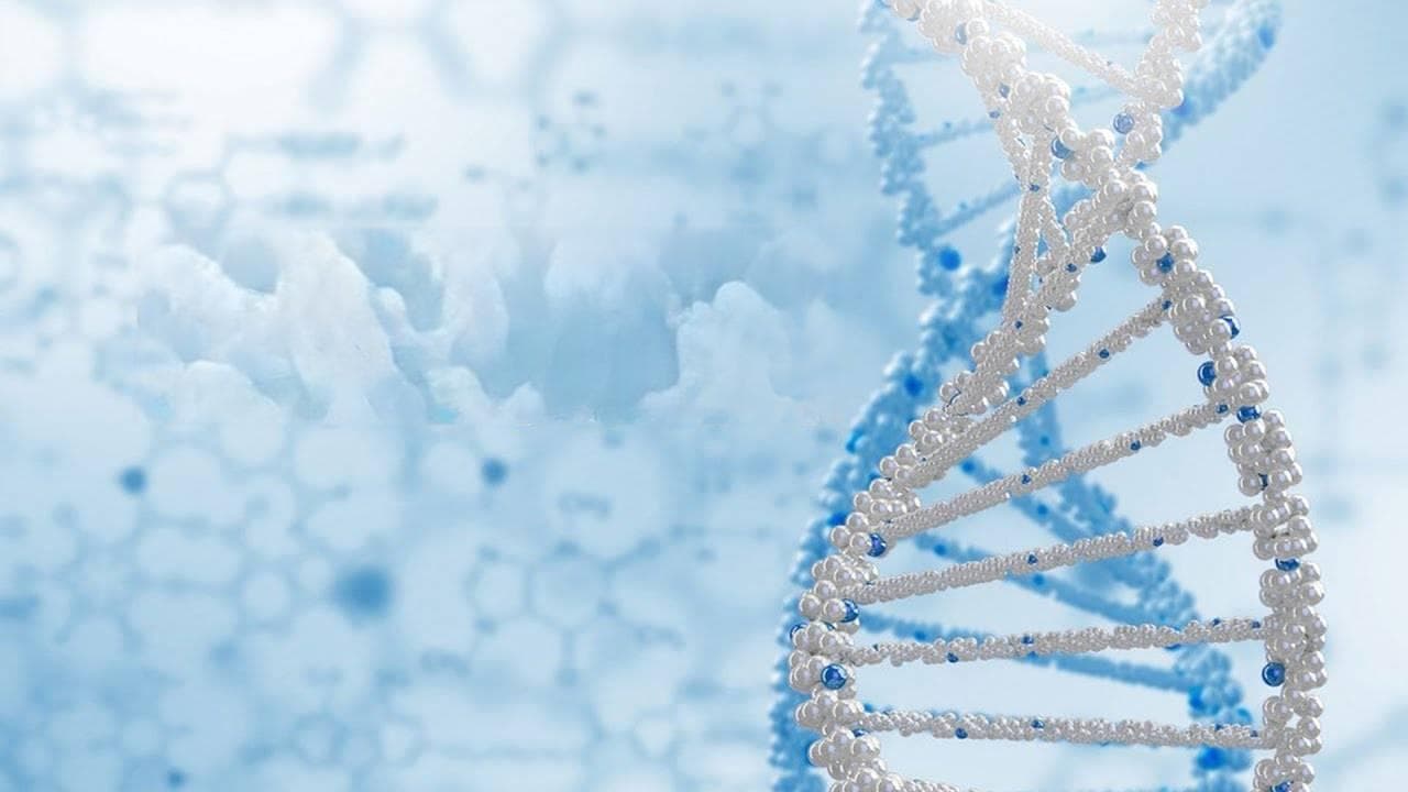 全基因检测费用是多少?多种因素影响价格