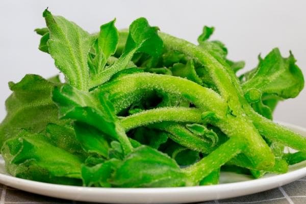 冰菜的功效与作用、禁忌和食用方法