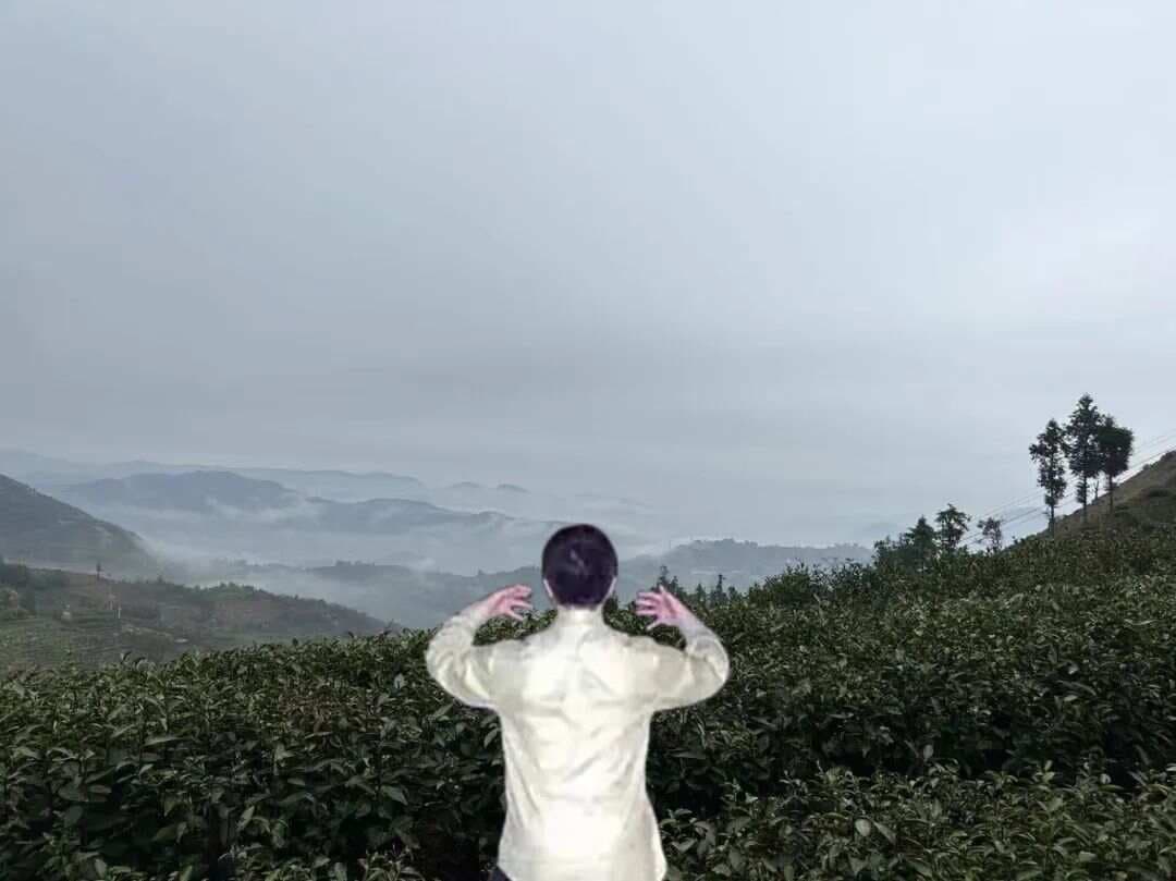 站桩提升气血最快的方式：以静制动，唤醒生命能量