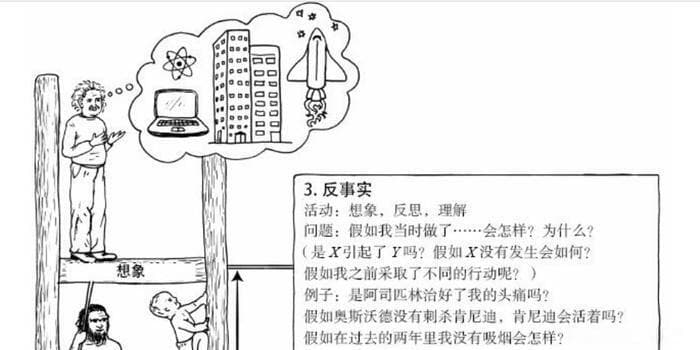 反事实推理：探索未知与决策的桥梁