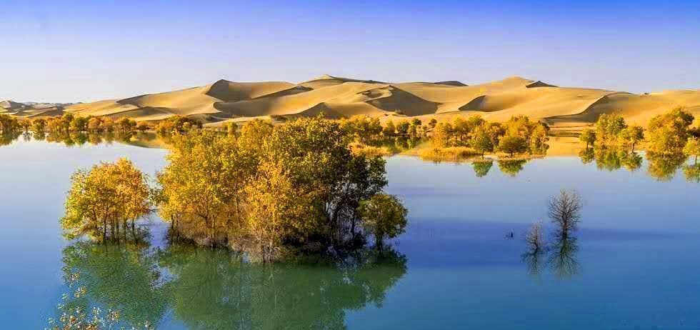新疆南疆摄影旅游：塔里木河胡杨林——不容错过的摄影天堂
