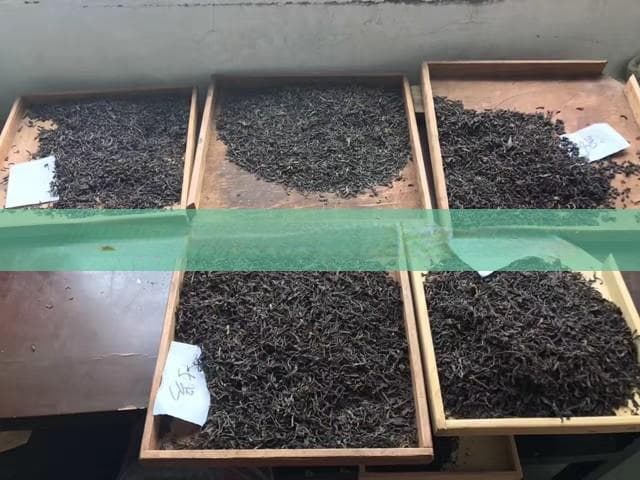 胃酸过多时该喝什么茶？四种温和茶饮推荐