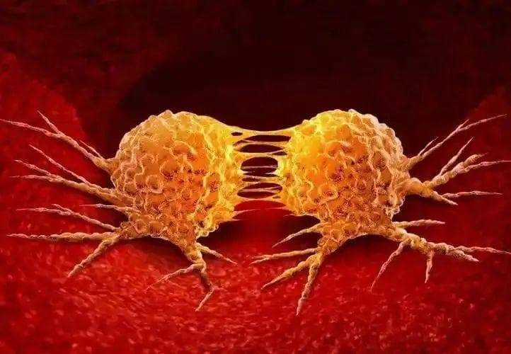促进癌细胞生长和转移，有前景的癌症诊断生物标志物和治疗靶点