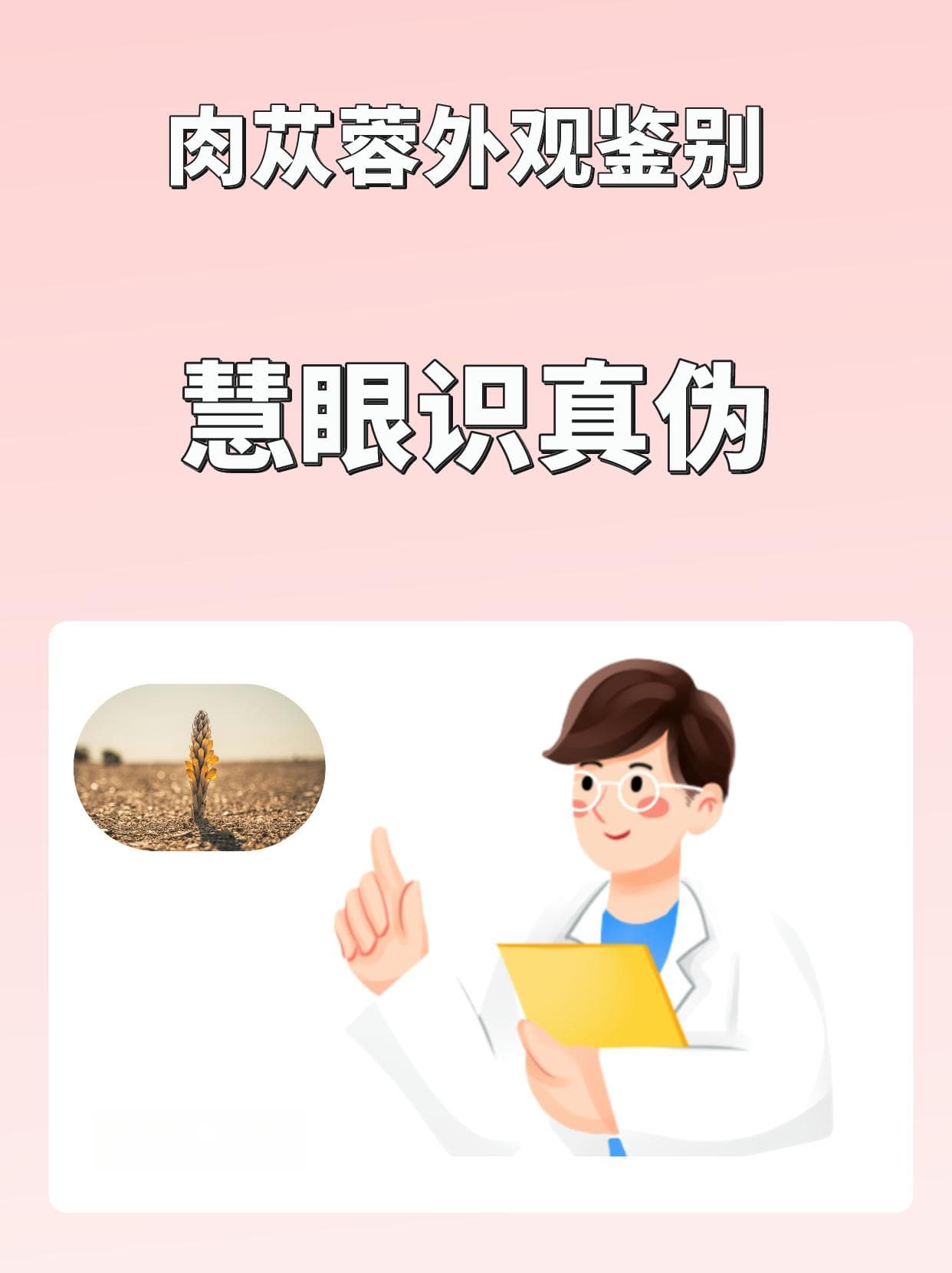 肉苁蓉鉴别术：慧眼识真伪
