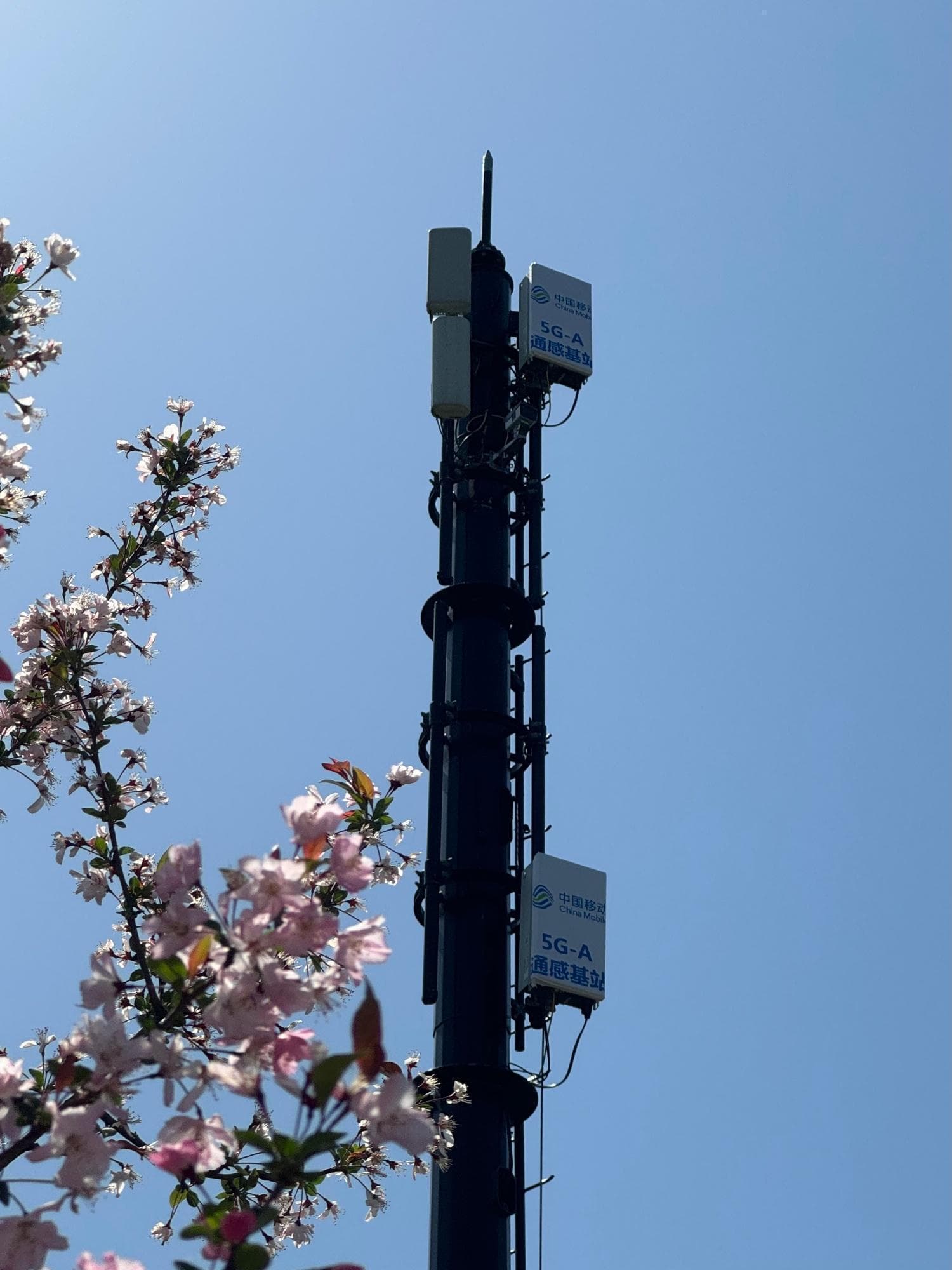 5G技术创新实践：擦亮我国科技自立自强“新名片”