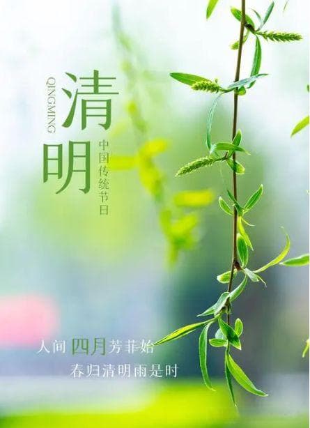 春分前后6种蔬菜可以种了，不用育苗直接播种，附种植方法，新手也能种好
