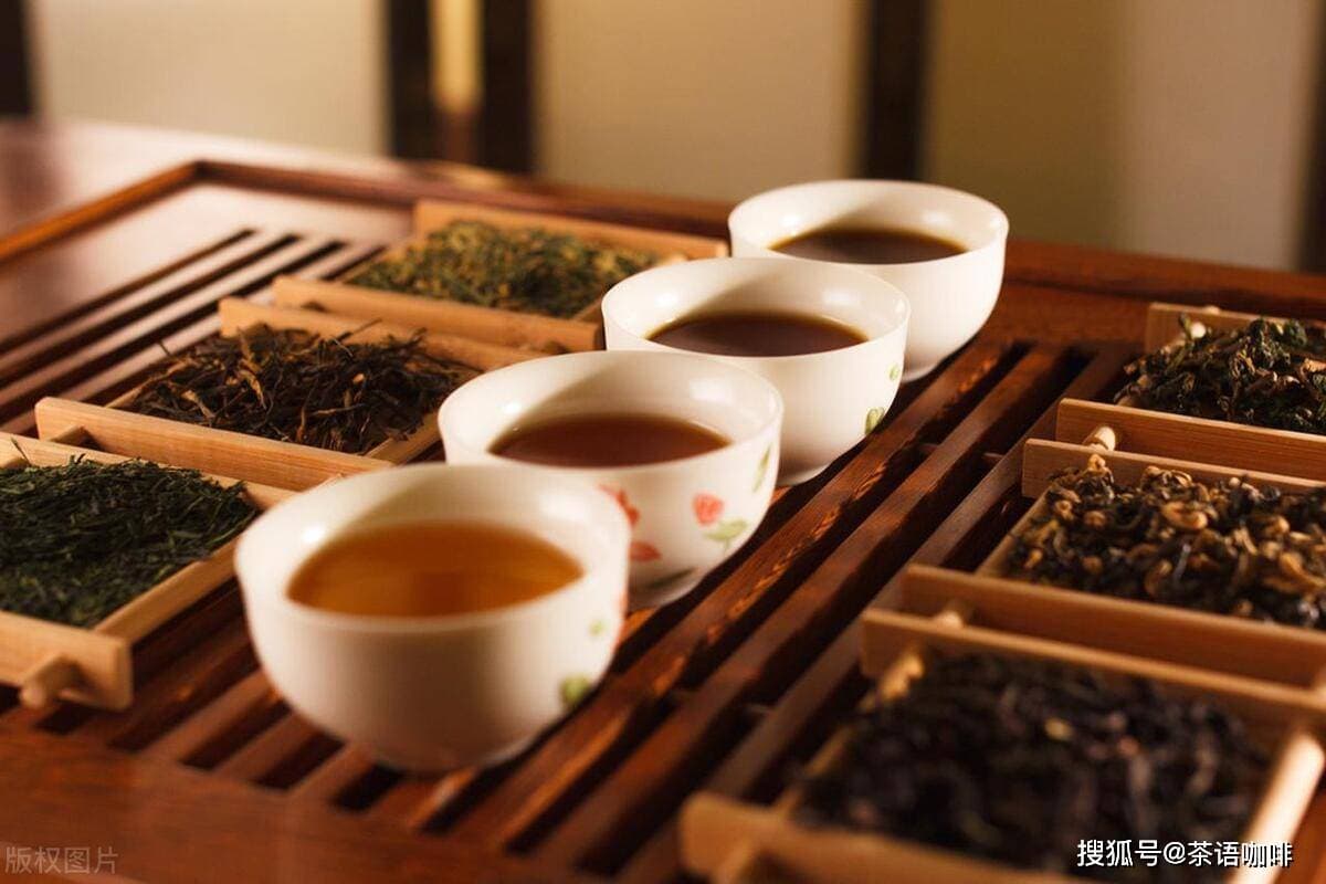 口碑最好的10大茶叶品牌排行榜，哪个牌子茶叶好喝？茶友圈聊一聊