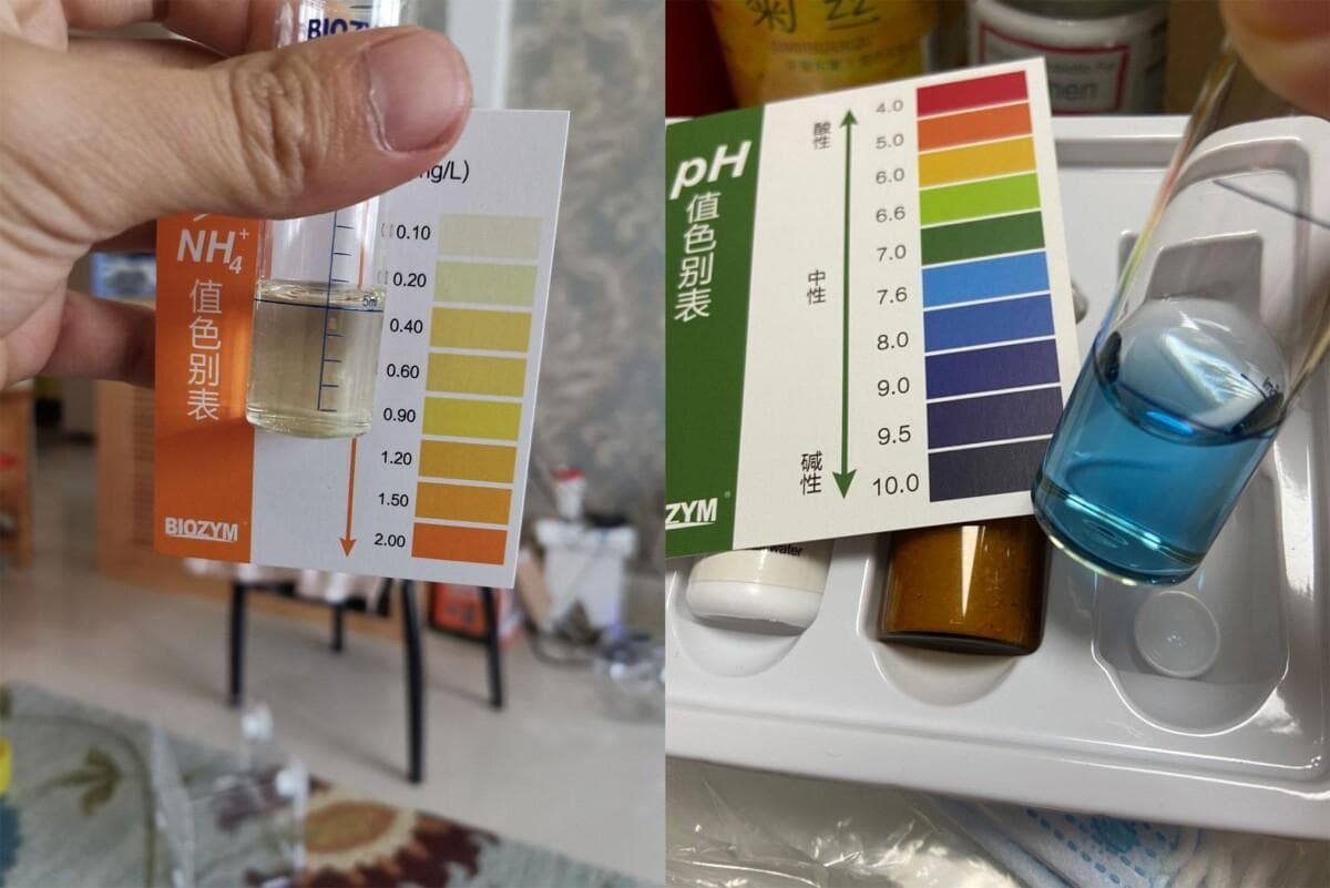 鱼缸氨氮含量标准及检测方法：常见 <0.2mg/ L 为正常