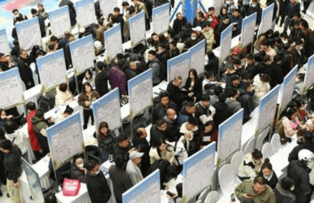 应对就业挑战：大学生就业指导必备要素