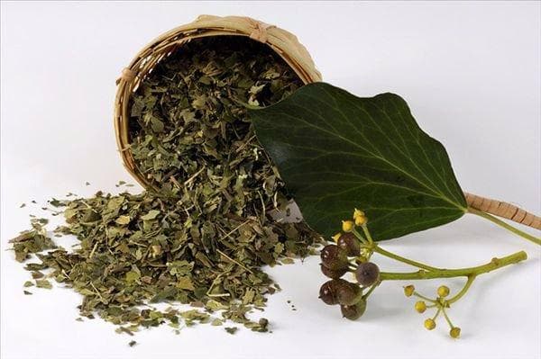 荷叶山楂减肥茶配方及功效详解