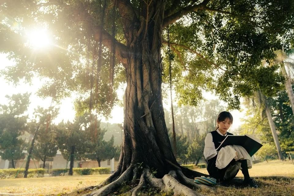 五部经典的治愈题材电视剧，一部比一部精彩，错过一部都是遗憾！