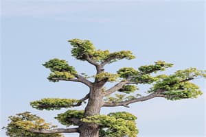科学养羊五大方法详解