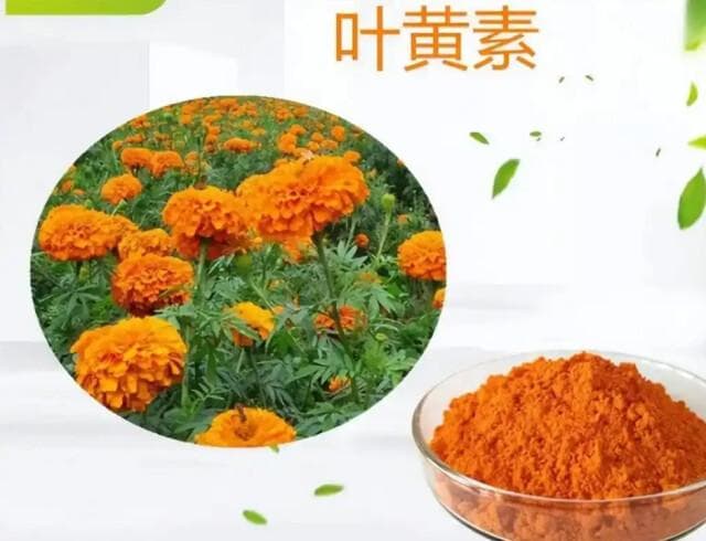 专家回应：叶黄素不能预防近视，过量服用或致皮肤变黄