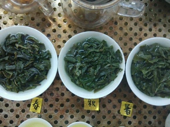 什么是“小季茶”？铁观音一年五季茶的品质解析