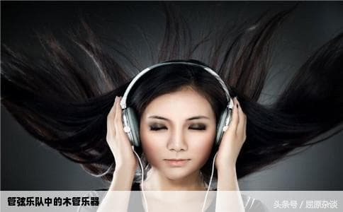 管弦乐队中的木管乐器：长笛、单簧管、双簧管、大管和短笛
