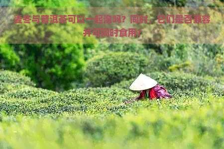 麦冬与普洱茶可以一起泡吗？同时，它们是否兼容并可同时食用？