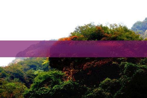 八月旅游四川青城山：攻略全解析