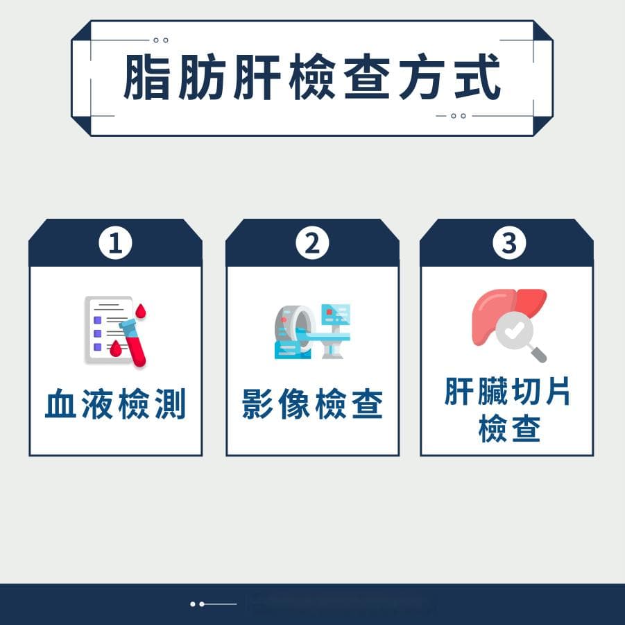 脂肪肝全攻略：从成因到改善方法，一文读懂如何预防和逆转脂肪肝