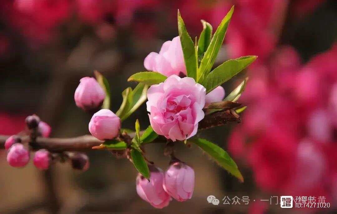 加速衰老的三个常见原因