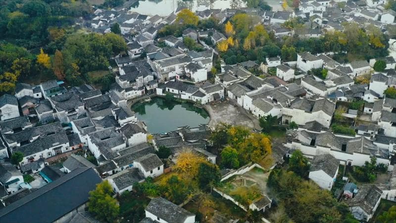 诸葛八卦村：雕梁画栋中的“共富”文章