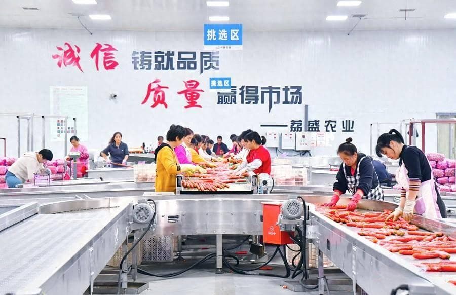 大荔：智慧农场尽显“科技范” 能源利用书写“绿篇章”（组图）