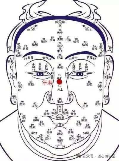 陈全林老师讲锁鼻术