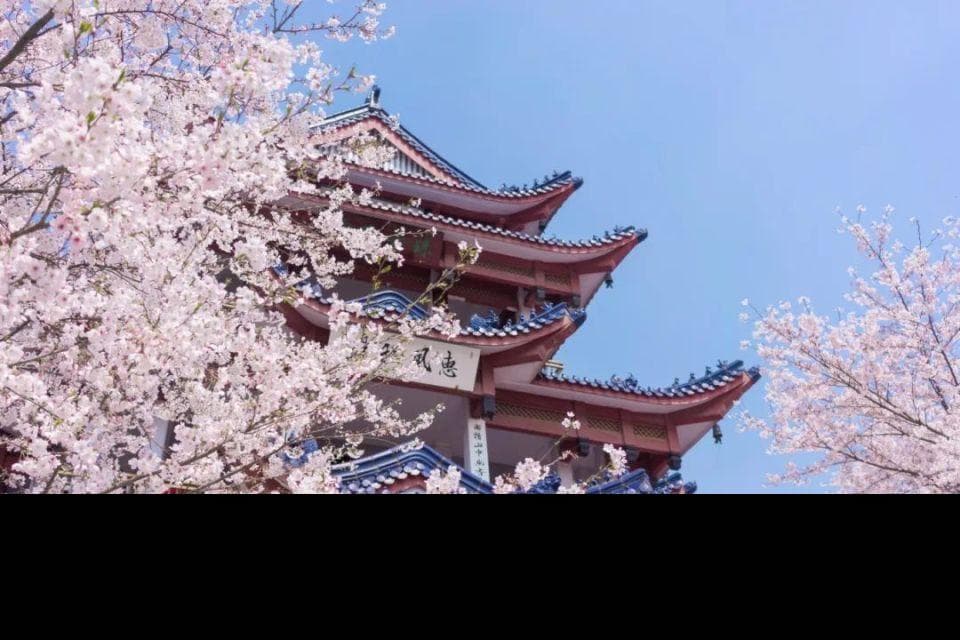 最快20分钟！高铁当天往返！南京出发适合穷游的6大城市！