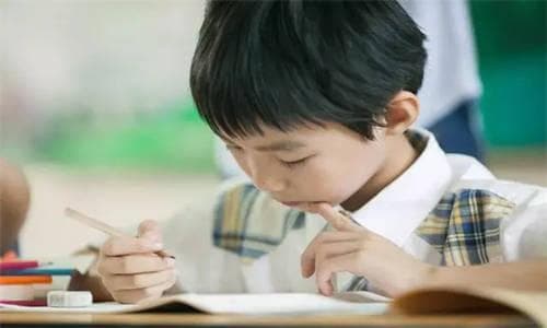 生活中的数学：培养孩子数感的五个实用方法