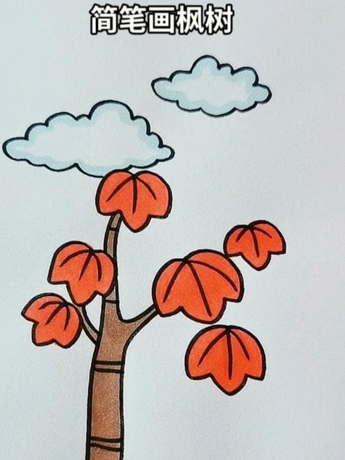 枫树简笔画10步完成（推荐16张）