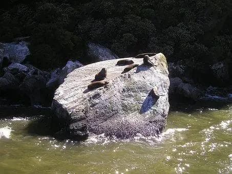 长期不说话或少说话可能会带来一系列严重的后果