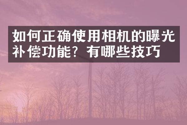如何正确使用相机的曝光补偿功能？有哪些技巧？